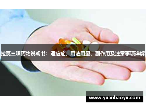 拉莫三嗪药物说明书:适应症、用法用量、副作用及注意事项详解 拉莫三嗪药物说明书:适应症、用法用量、副作用及注意事项详解