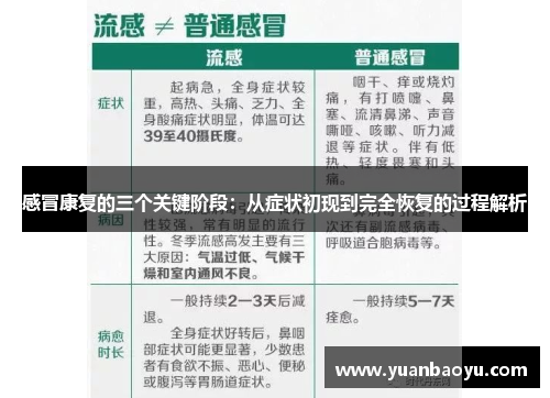 感冒康复的三个关键阶段:从症状初现到完全恢复的过程解析 感冒康复的三个关键阶段:从症状初现到完全恢复的过程解析
