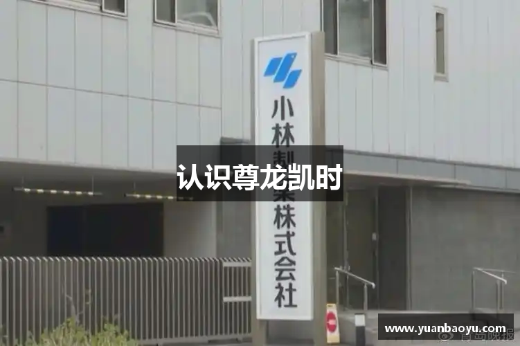 认识尊龙凯时